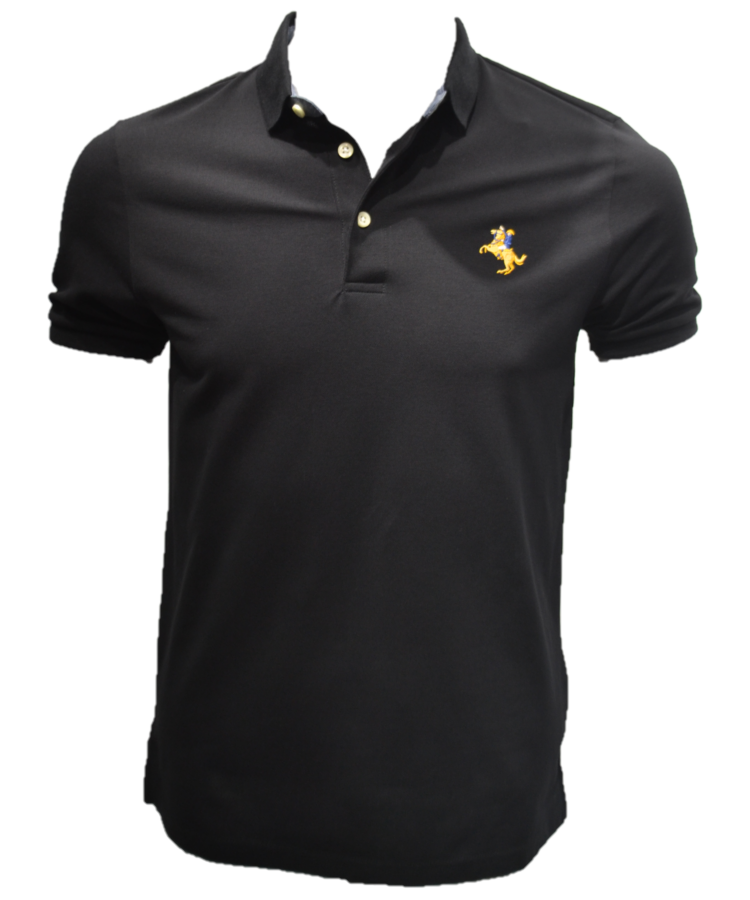 POLO WITH EMBROIDERY - Black, S image